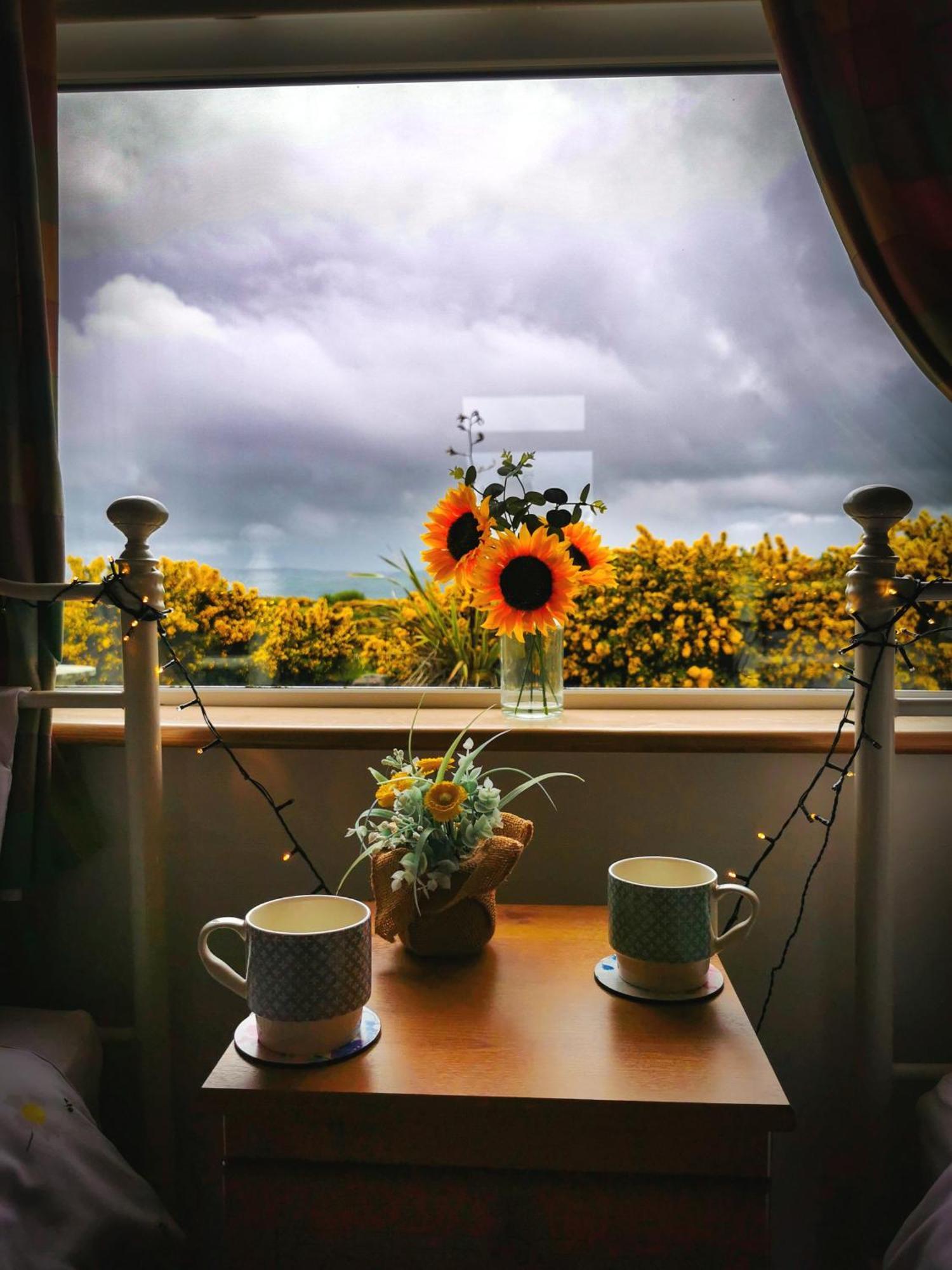 Causeway Coast Country Cottage, Pet-Friendly Ballycastle Dış mekan fotoğraf